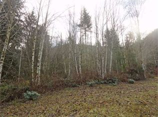 Bear Mountain Rd, Morton, WA 98356