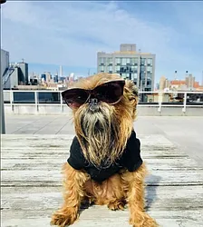 Rented by REAL New York