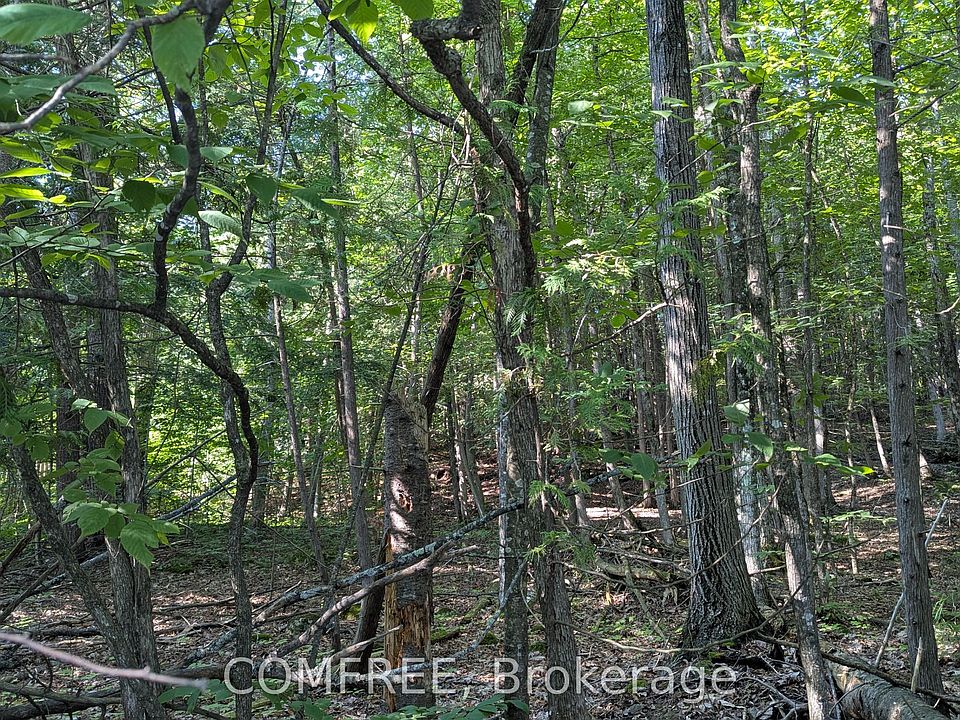 1st image of 4853 Opeongo Rd