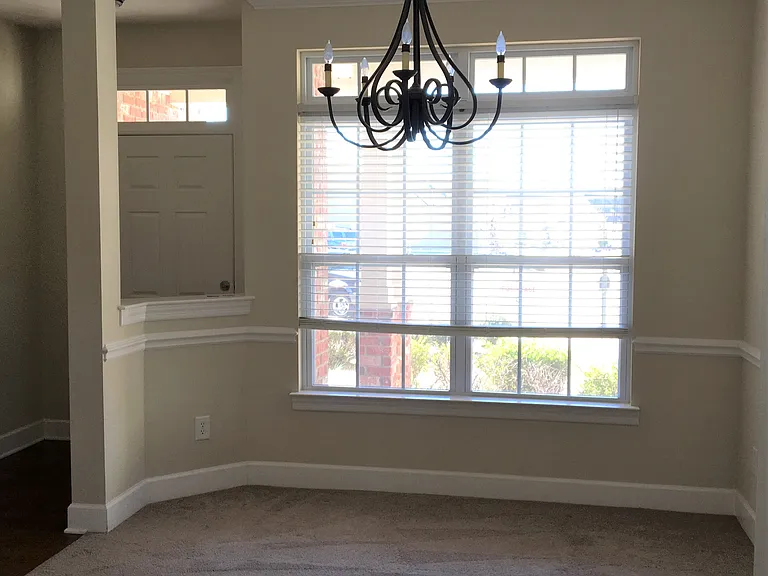 247 Dobson Branch Ct — Photo 18