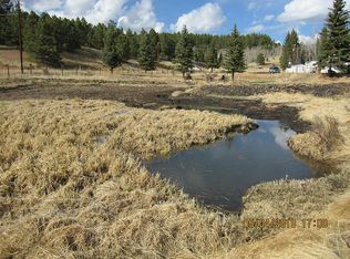 974 W Bison Creek Trl, Divide, CO 80814