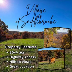 000 State Highway Bb, Chestnutridge, MO, 65630