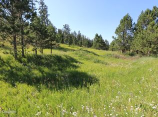Reynolds Rd, Sundance, WY 82729