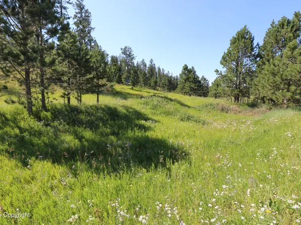 Reynolds Rd, Sundance, WY 82729