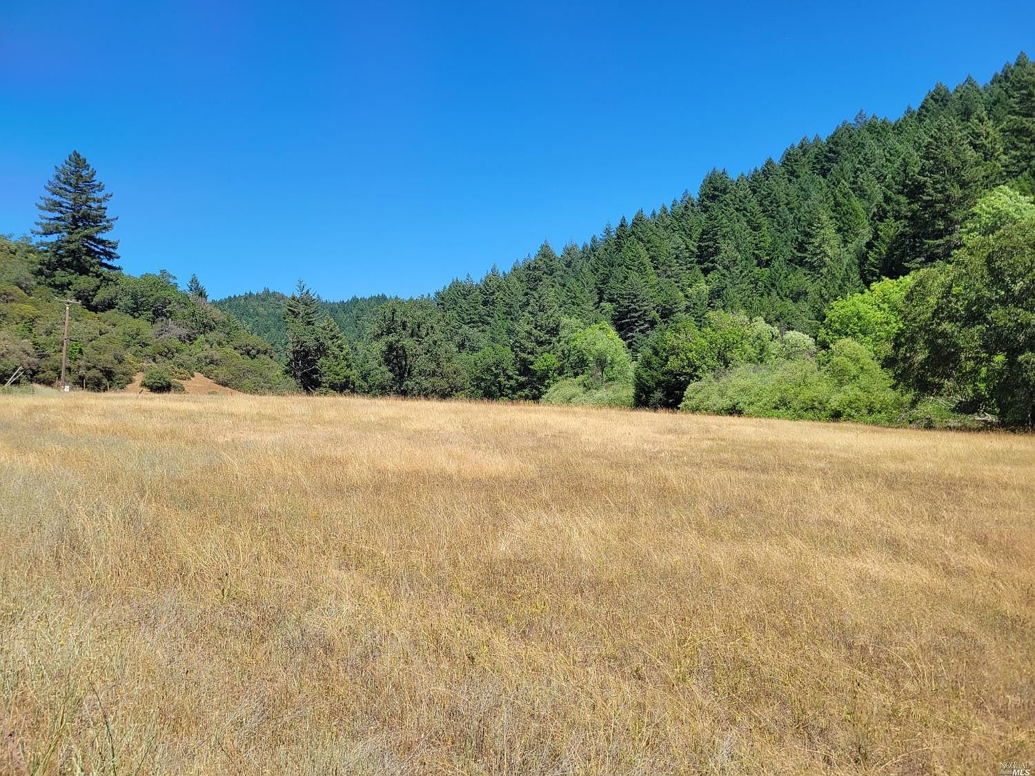 8500 Hearst Willits Rd, Willits, CA 95490 MLS 323007298 Zillow