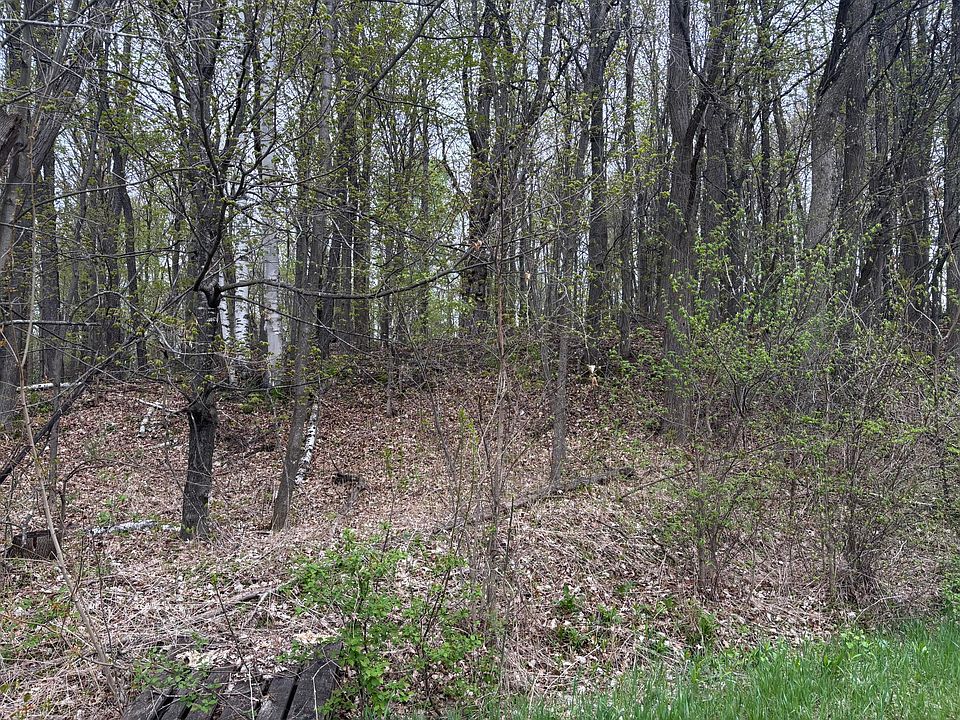 2nd image of 0 Ram Rd