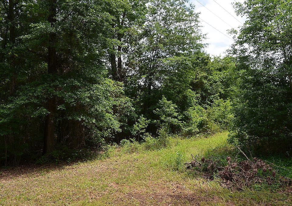 0 County Road 1587a, Avinger, TX 75630 Zillow