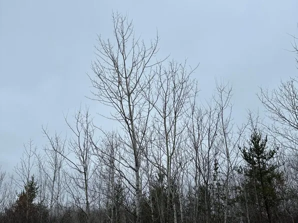 Wood Rd #4069-23, Tomahawk, WI 54487