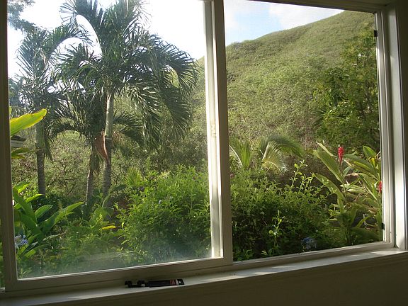 2nd image of 344 Ilihau St #A