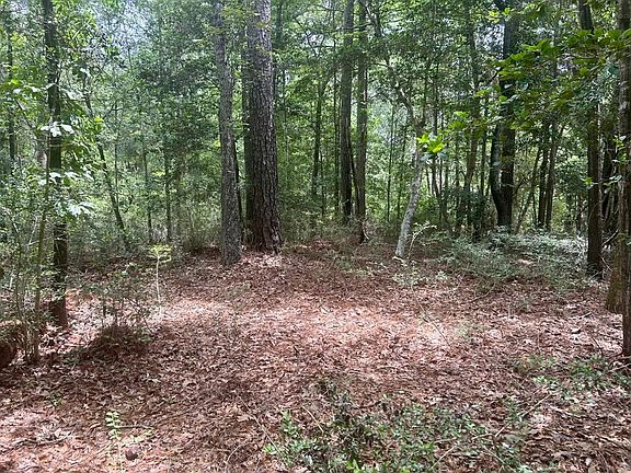 5th image of LOT 5 John Keely Rd