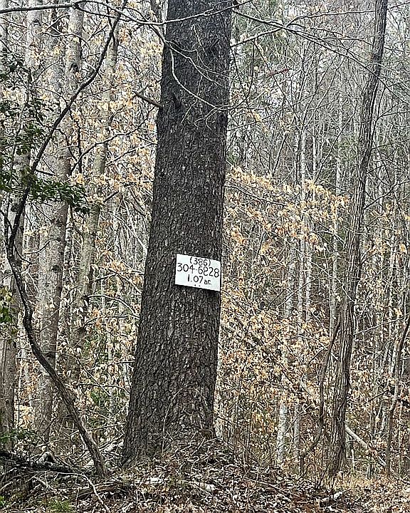 1st image of 0 Griffin Rd #1.07