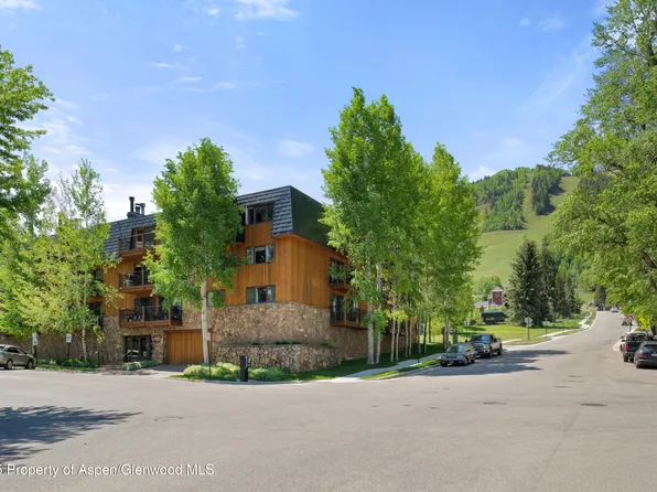 205 E Durant Ave APT 2C, Aspen, CO 81611