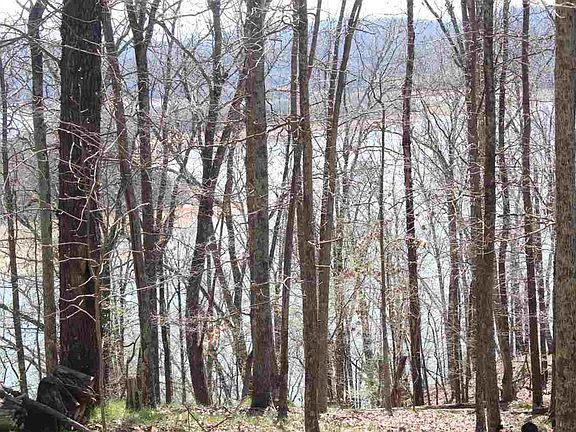 3rd image of 1012 Wilderness Dr