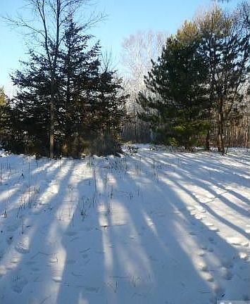 4th image of 20635 Scott Dr