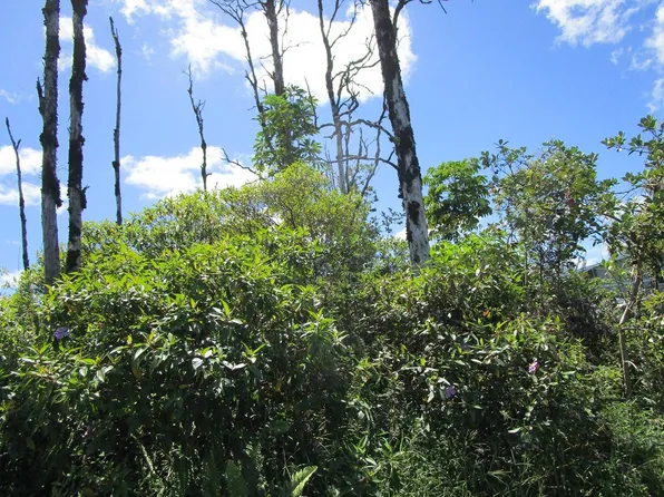 Ohia Dr Lot 10, Pahoa, HI 96778