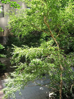 Rented by Newell and Assoc. | media 19