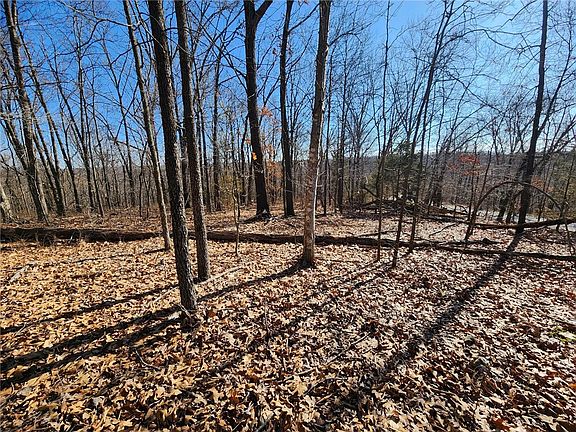 4th image of 20 Chelmsworth Cir