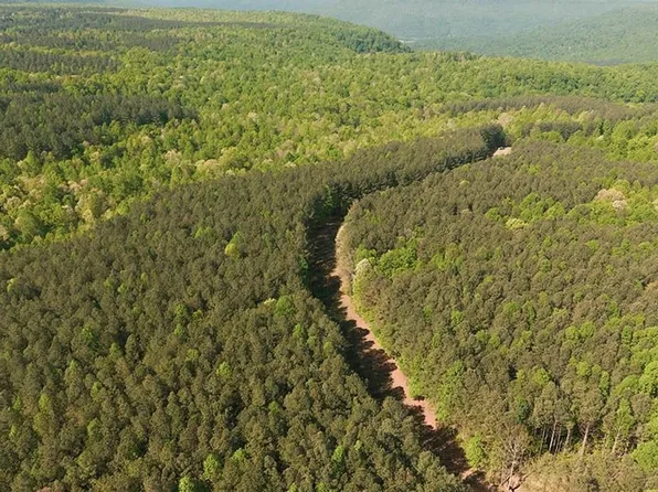 Browns Trace Rd, South Pittsburg, TN 37380