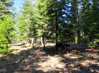 800 E Mountain Ridge Rd, Westwood, CA 96137