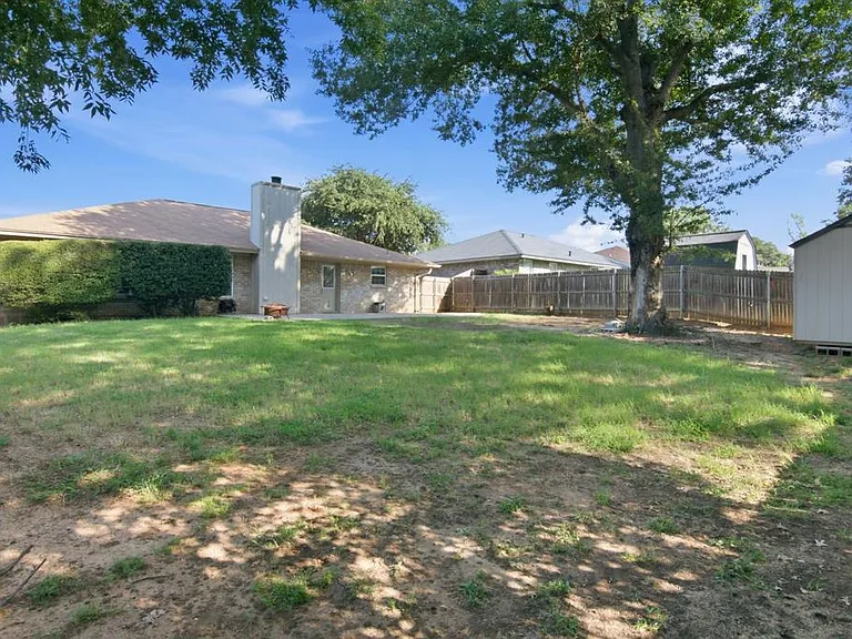 back yard