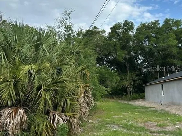 Palmetto St Lot 4, Eustis, FL 32726