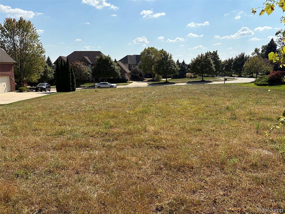 18018 Ridgeview Dr, photo 6