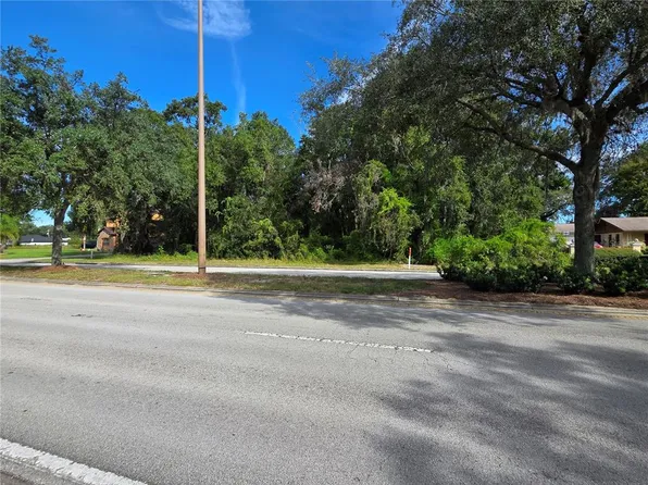 SE Highway 42 Lot 21, Summerfield, FL 34491