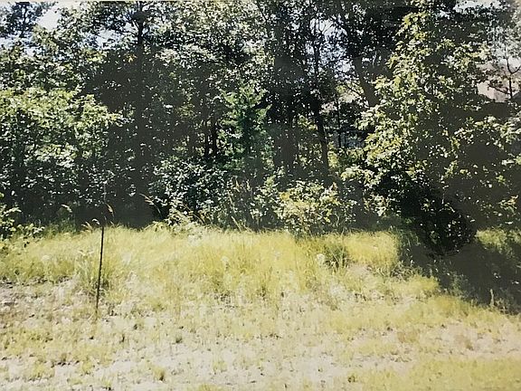 Wooded lot