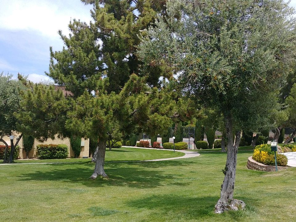 COMPLEX GROUNDS
