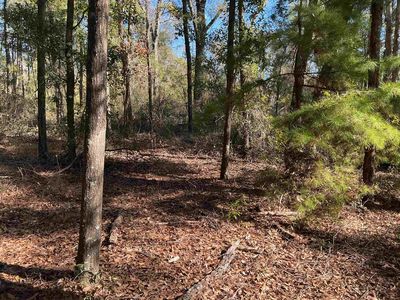 Smokehouse Farms Dr, Greenville, FL, 32331
