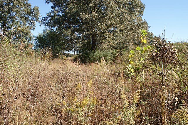 1st image of 0 County Road 55