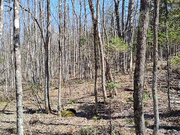 3rd image of Lot 163 Page Hill Road