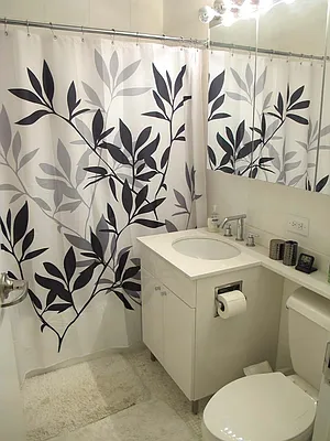 Rented by NY Living Solutions | media 51