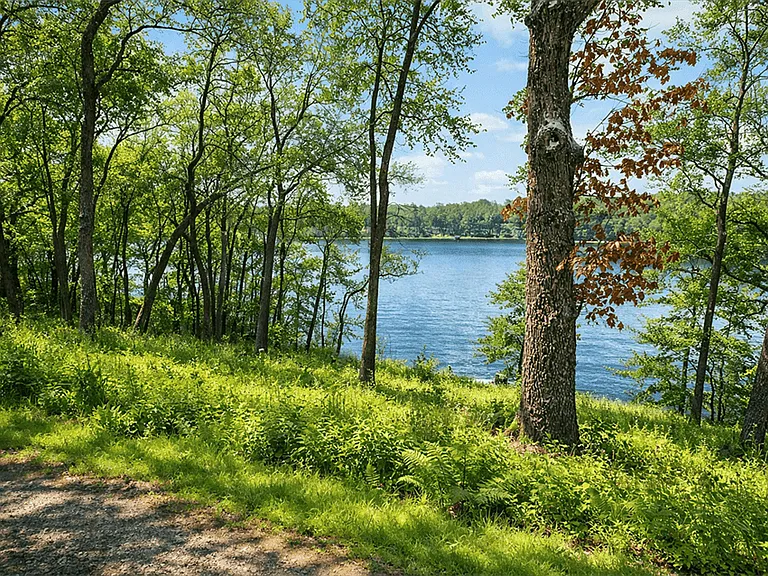 2470 Crooked Lake Rd — Photo 2