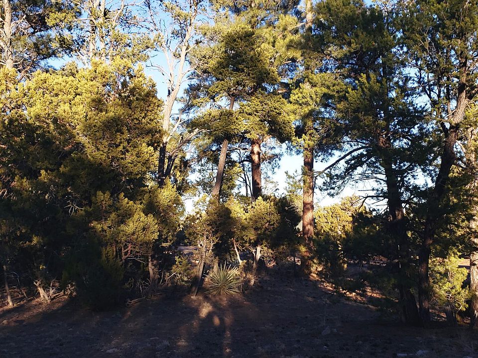 2nd image of 1486 Foxtail Ln