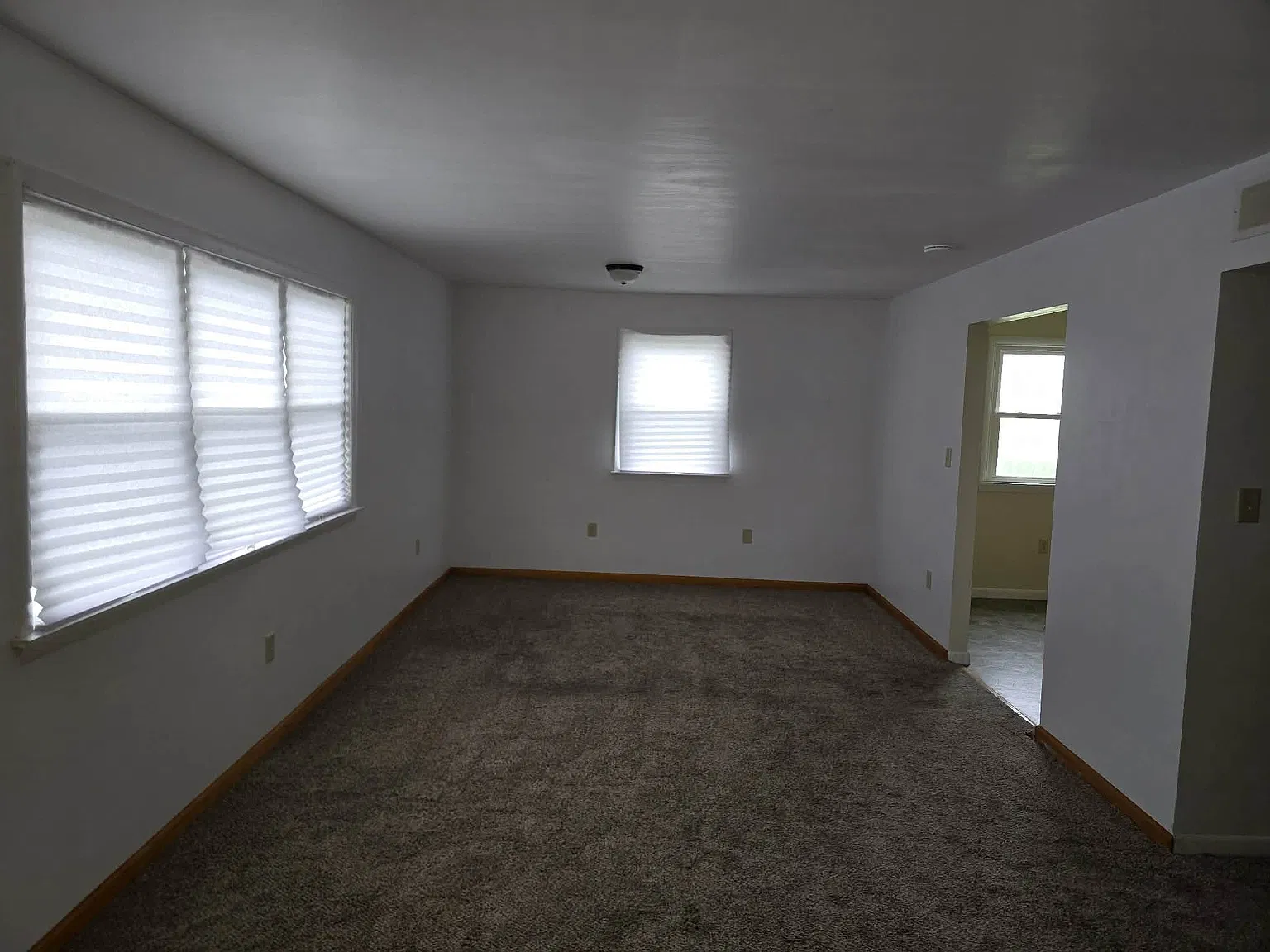 2 bed, $1,300 — Photo 3