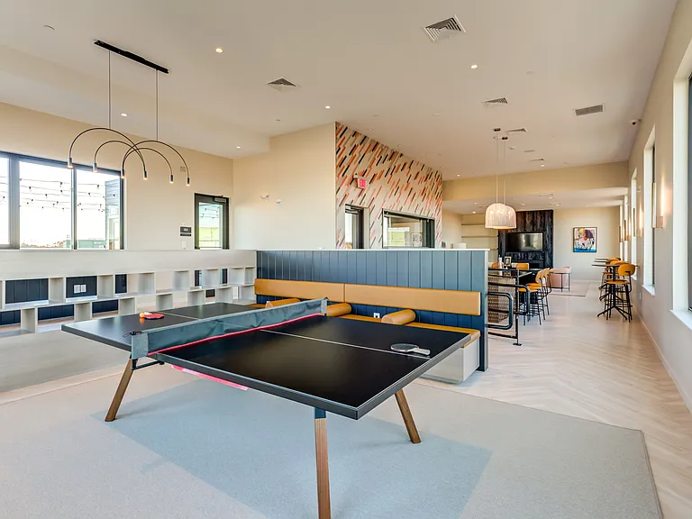 Ping Pong Table