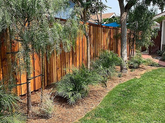 New fence & landscape 2020 