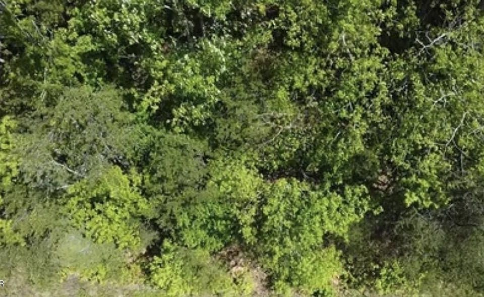 1st image of 81 Yellowwood Dr Lot 81