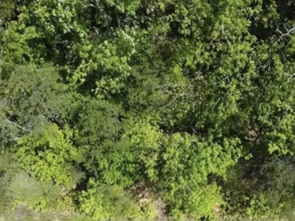 81 Yellowwood Dr Lot 81, Sevierville, TN 37876