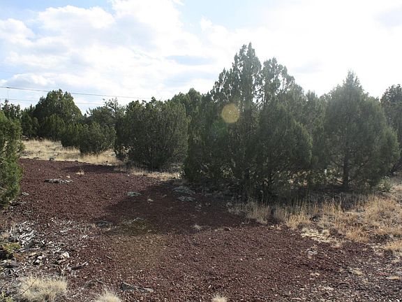 2nd image of 8447 Navajo Dr