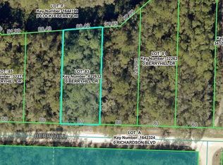 34338 Berryhill Dr, Webster, FL 33597