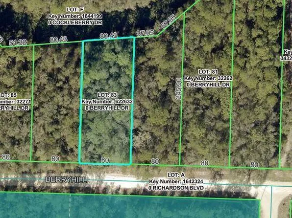 34338 Berryhill Dr, Webster, FL 33597