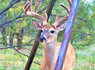 6756 New London Rd, Henrietta, TX 76365