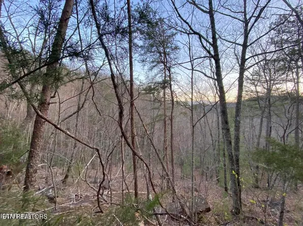 Beechwood St, Sevierville, TN 37876