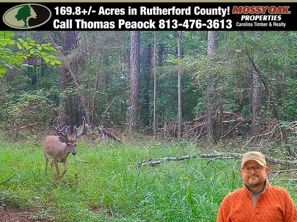 5555 Groves Rd, Union Mills, NC 28167