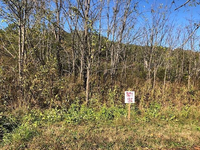 1st image of LOT 11 Mooresburg Springs Rd