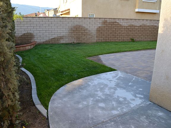 west side/back yard