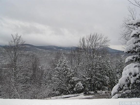 3rd image of 3 Twin Maples #3