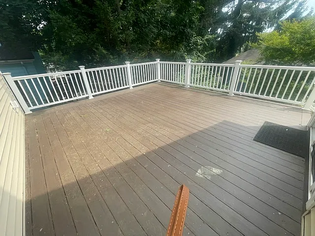 24 Fairfield St — Photo 40